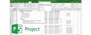 5. Programación y Control de Proyectos con Ms Project